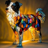 Uskollinen bordercollie